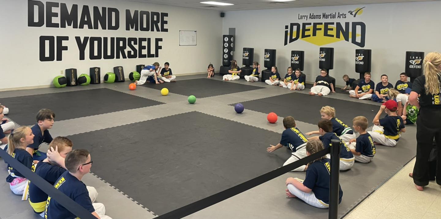 Larry Adams Martial Arts website project